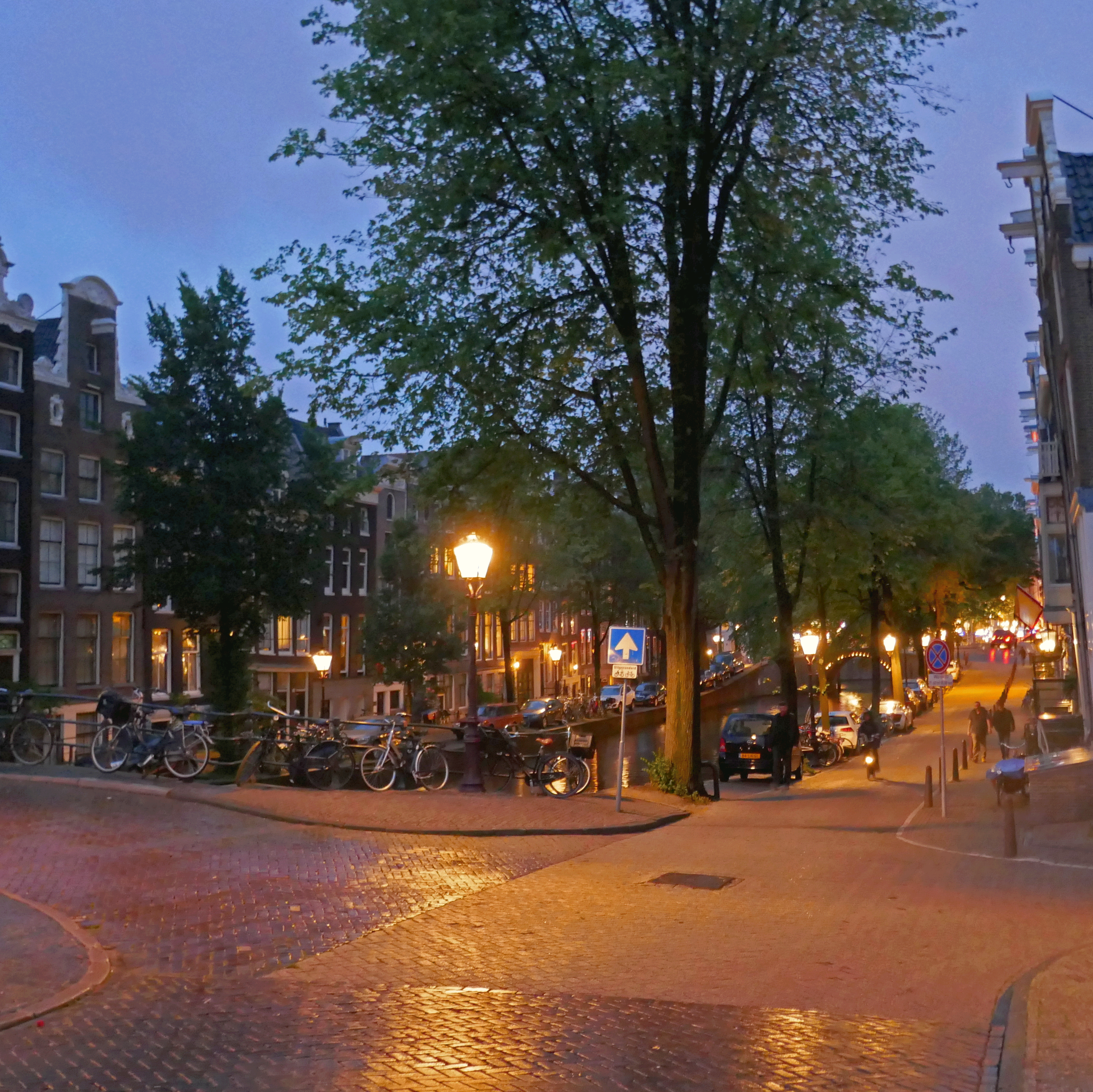 P1010274-001
