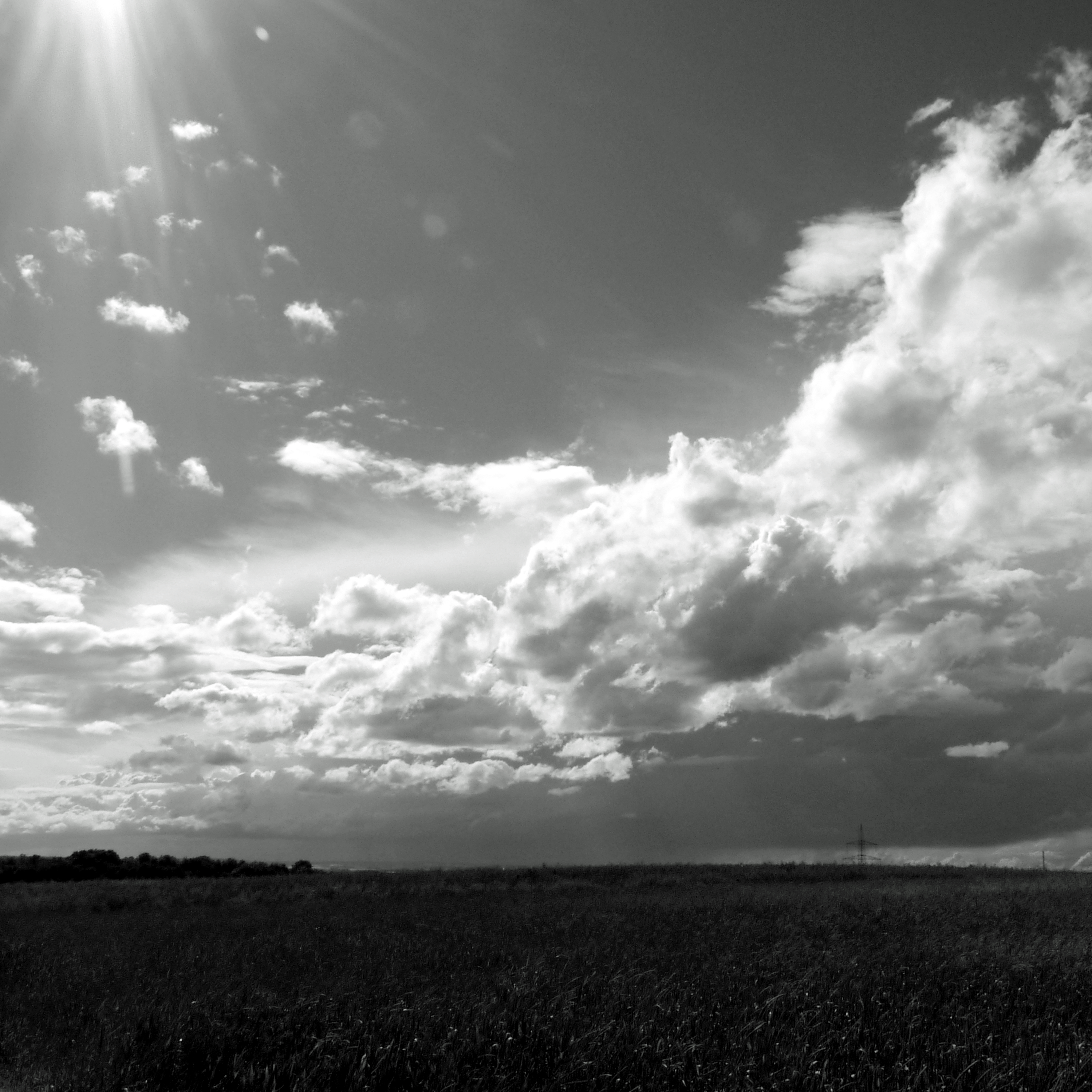 P1190266-002