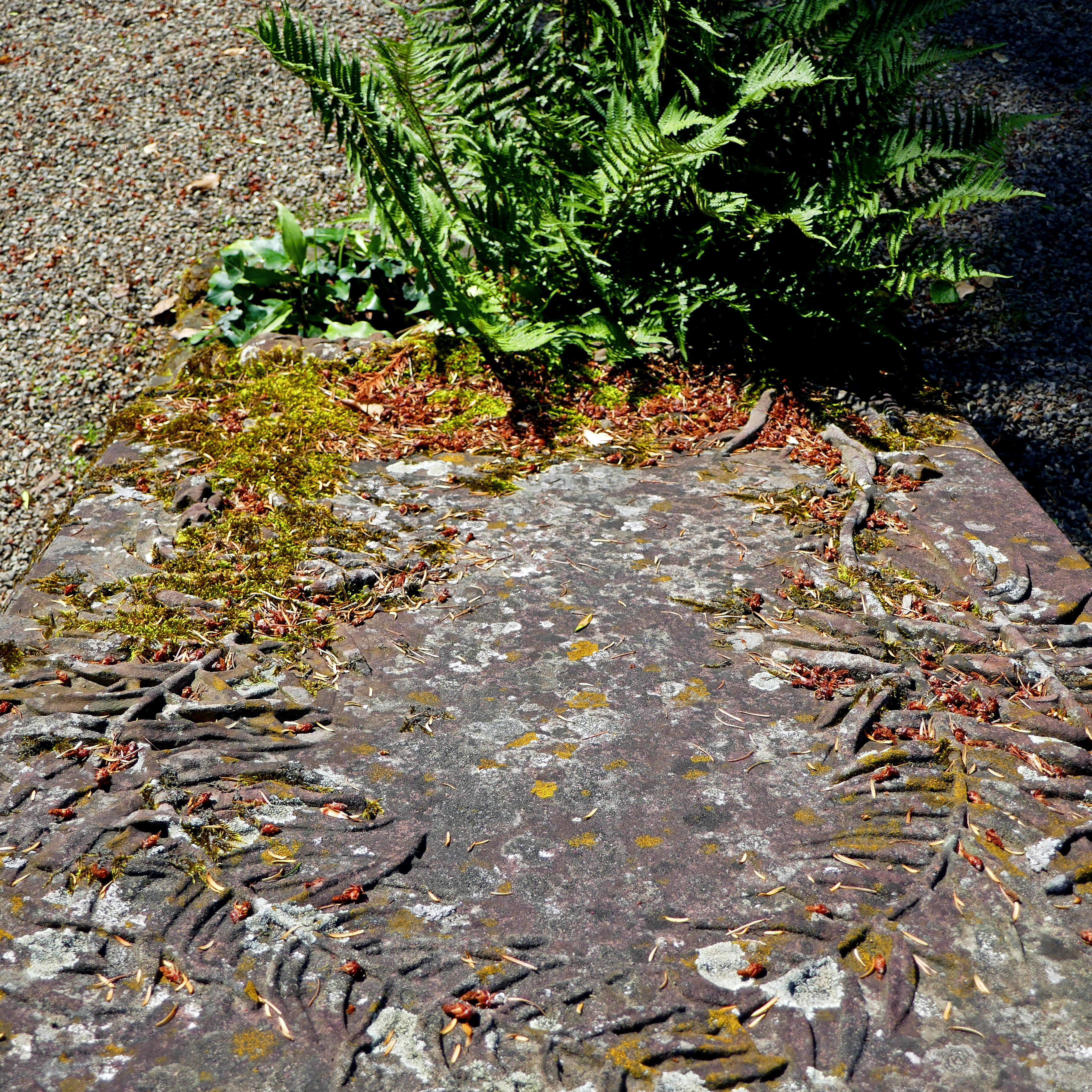 P1070738-001