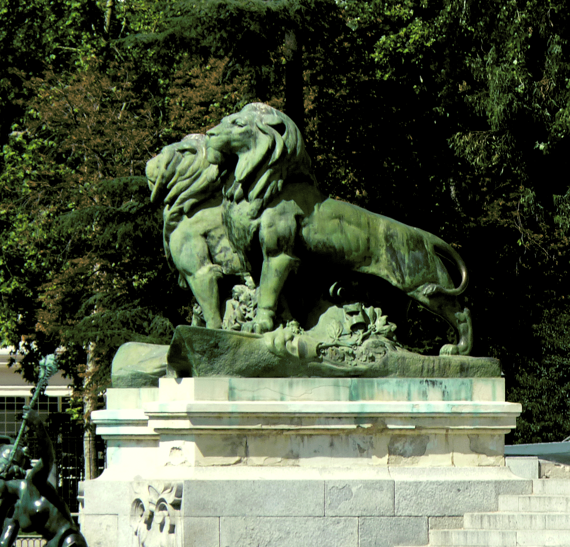 P1090525-001