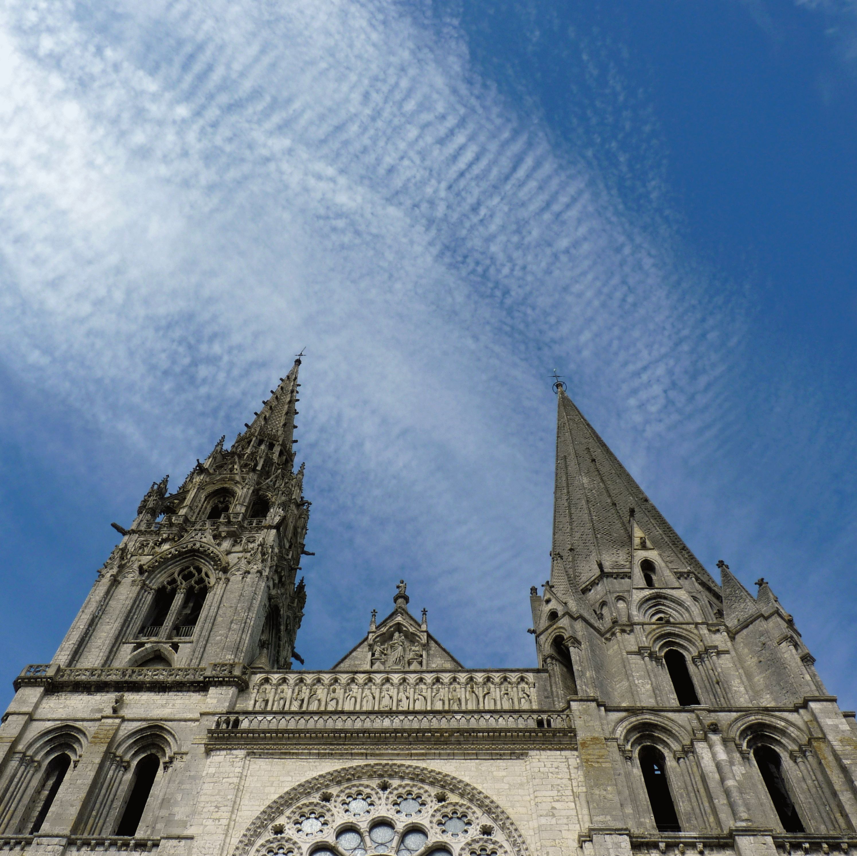 P1190802-001