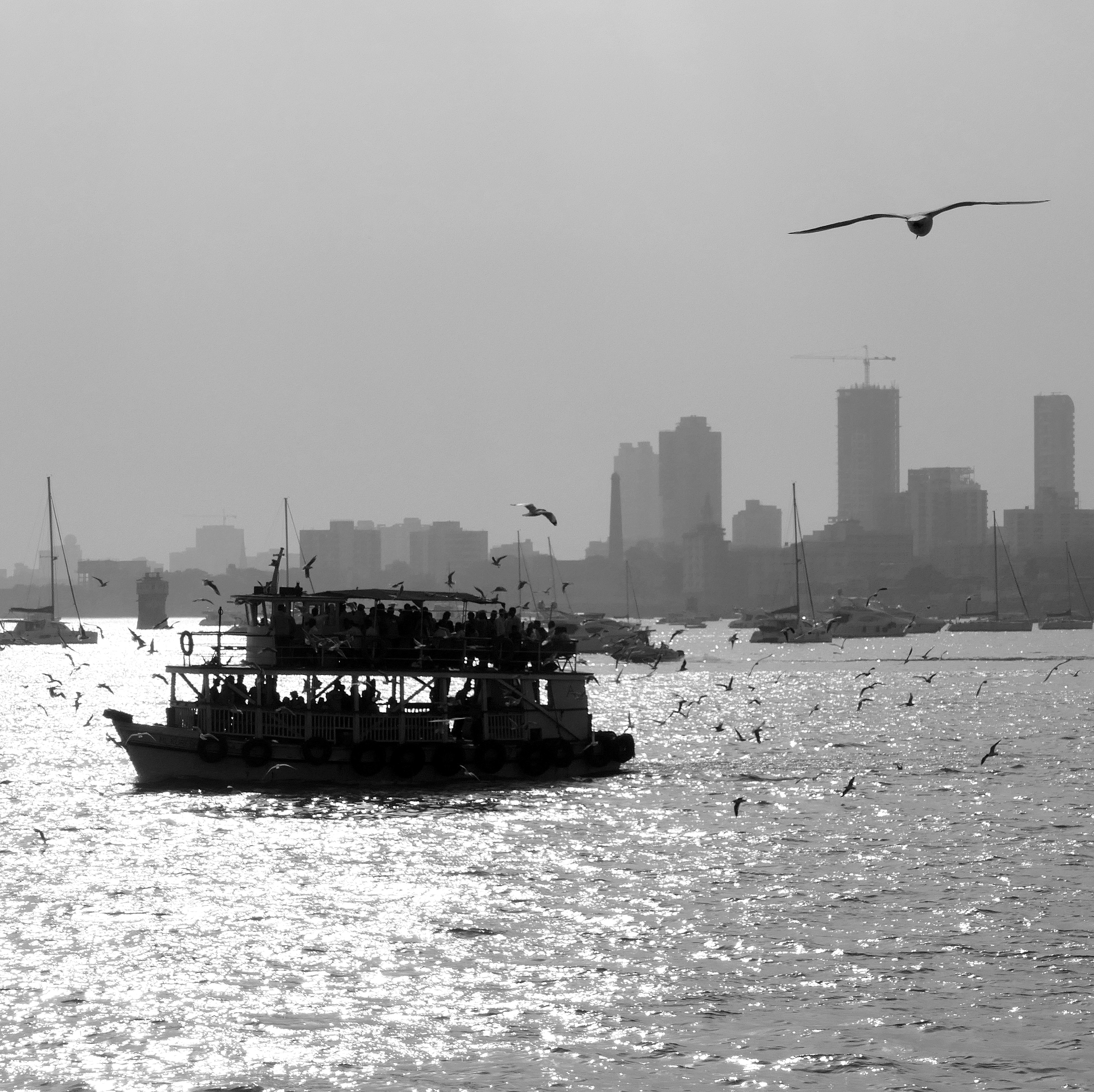 P1100330-001