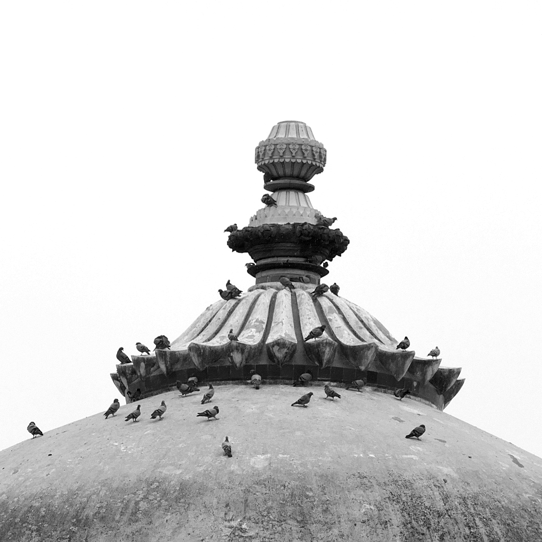 P1100943-001