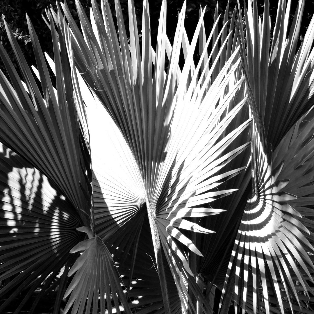 P1110241-002