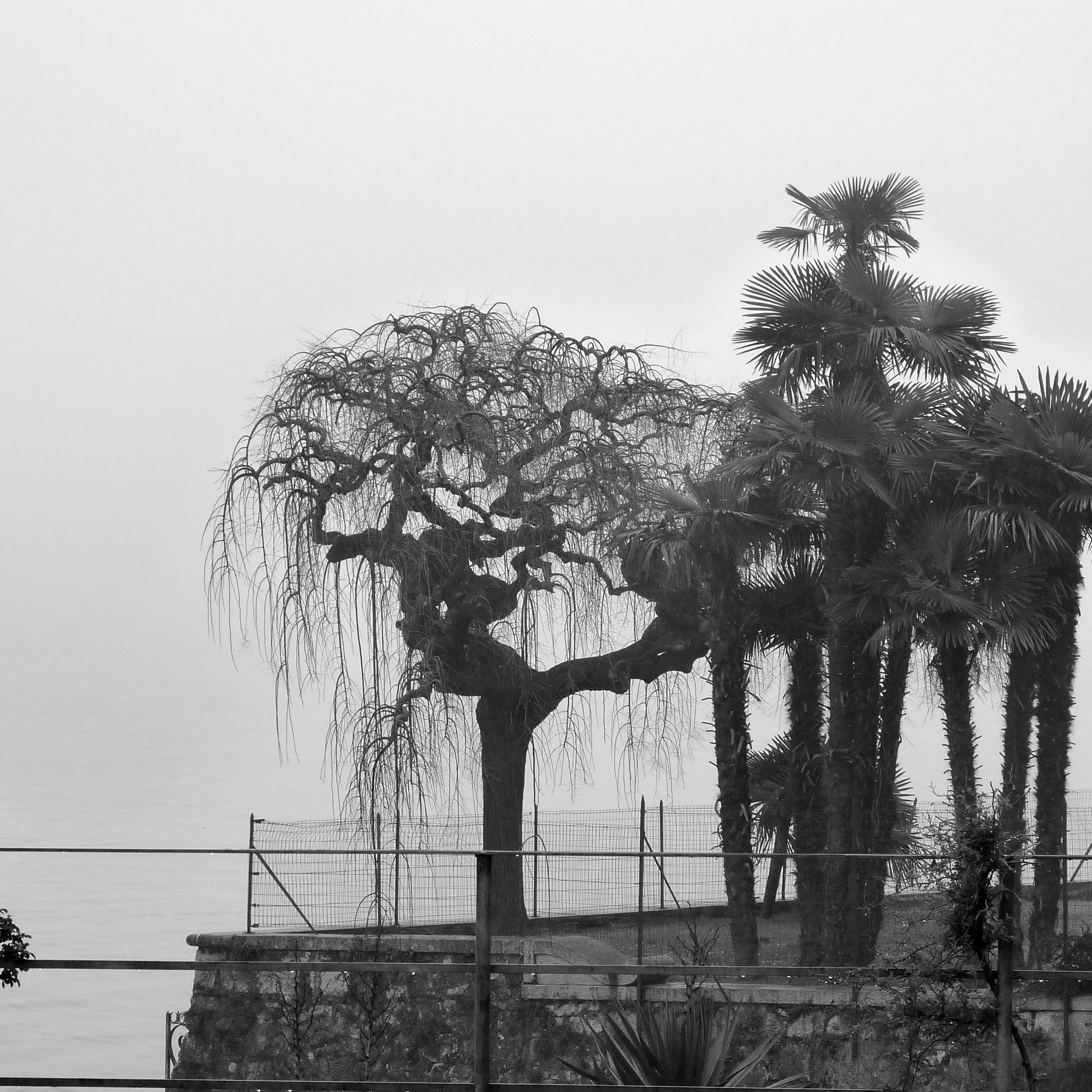 P1180361-001