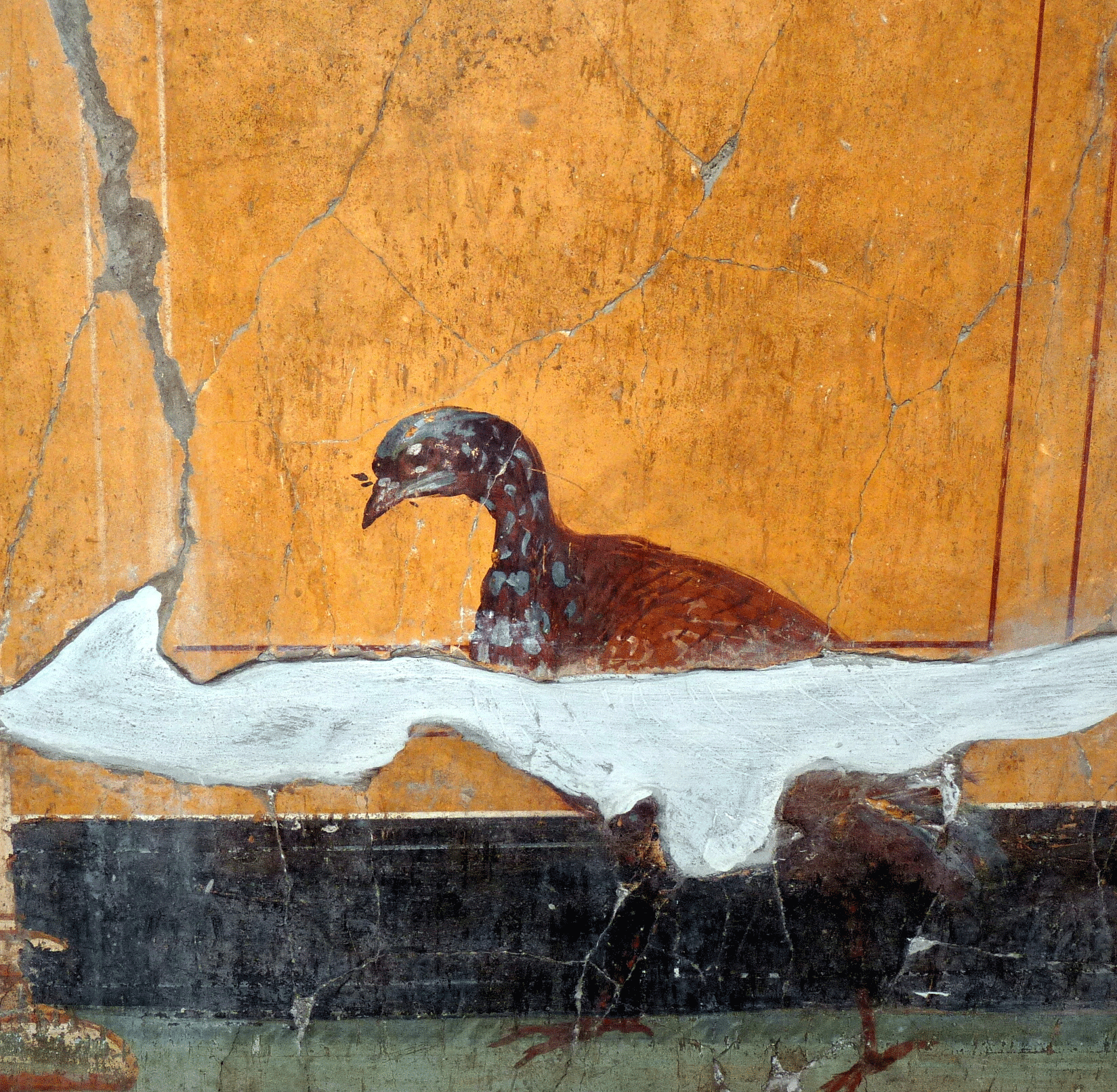 P1040439-001