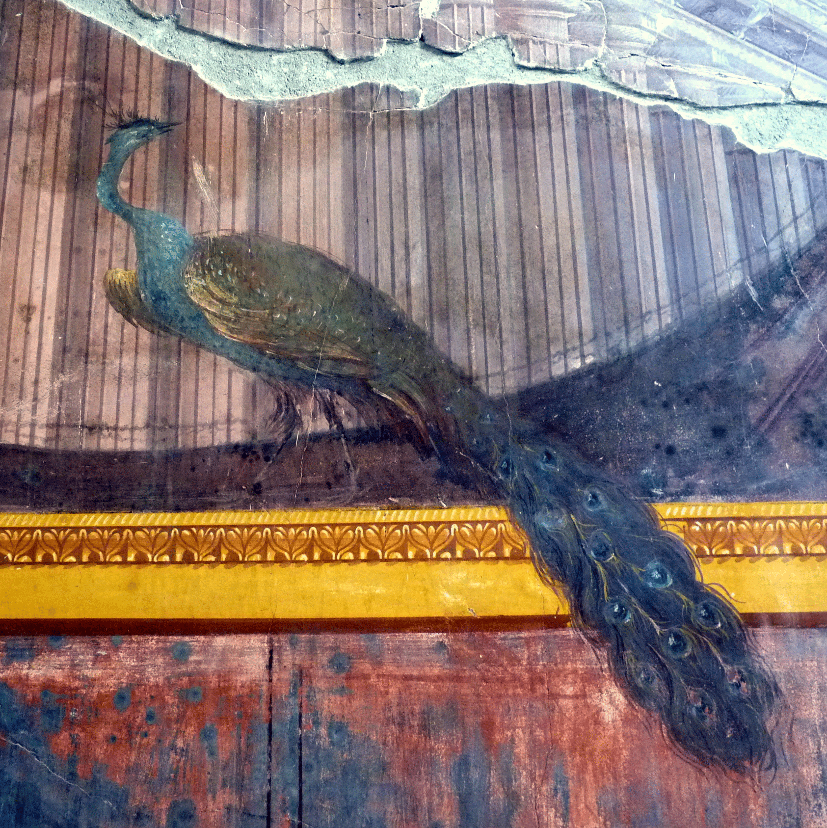 P1040485-001